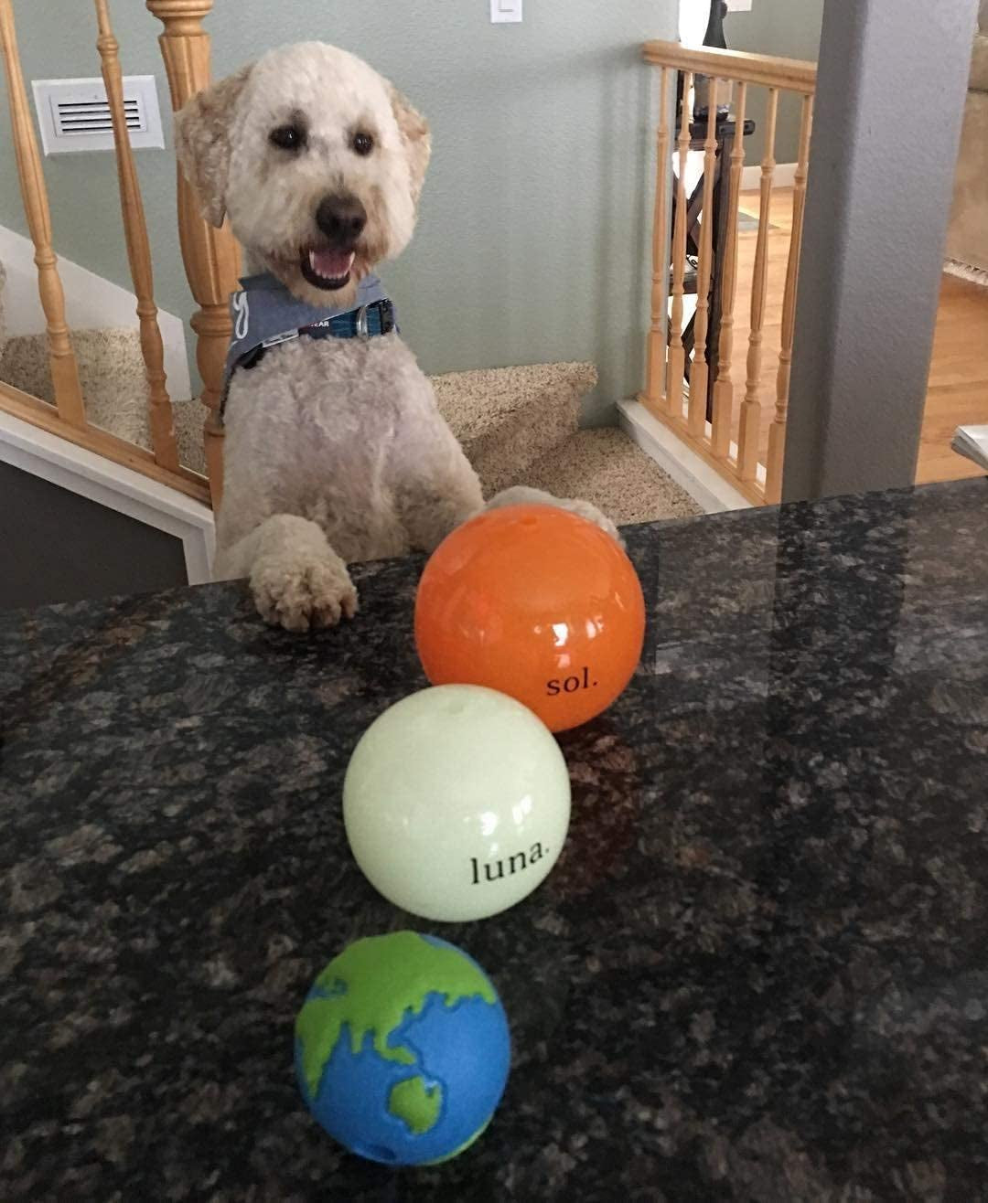 Outward Hound by Orbee-Tuff Planet Ball Blue/Green Treat-Dispensing Dog Toy, Medium