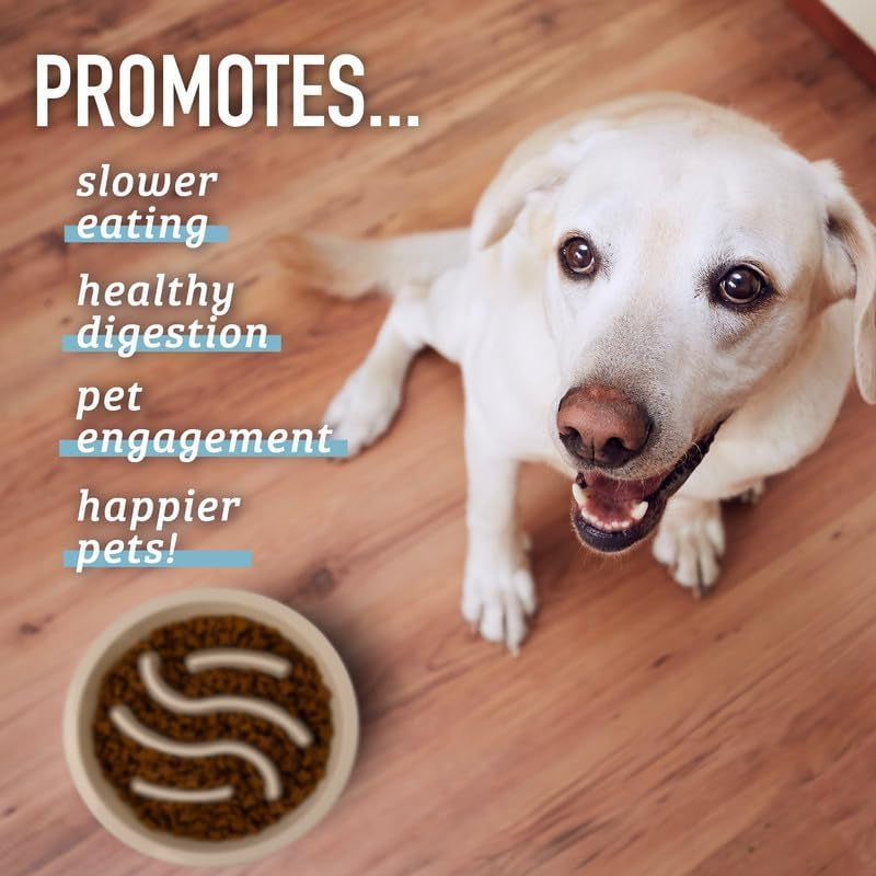 Slow Feeder Dog Bowls (2 Cup) Puzzle Dog Food Bowl - Fits into Elevated Pet Feeders - Slow Eating for Large, Medium & Small Sized Breeds - Gray