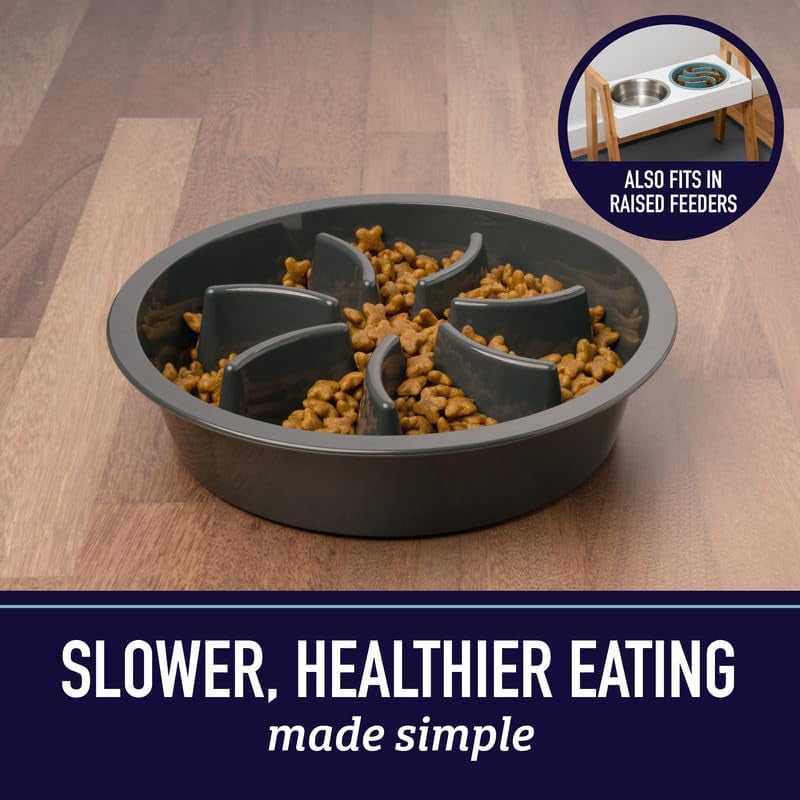 Slow Feeder Dog Bowls (2 Cup) Puzzle Dog Food Bowl - Fits into Elevated Pet Feeders - Slow Eating for Large, Medium & Small Sized Breeds - Gray